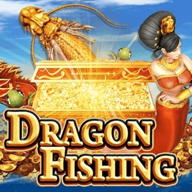open8 Câu Cá Rồng